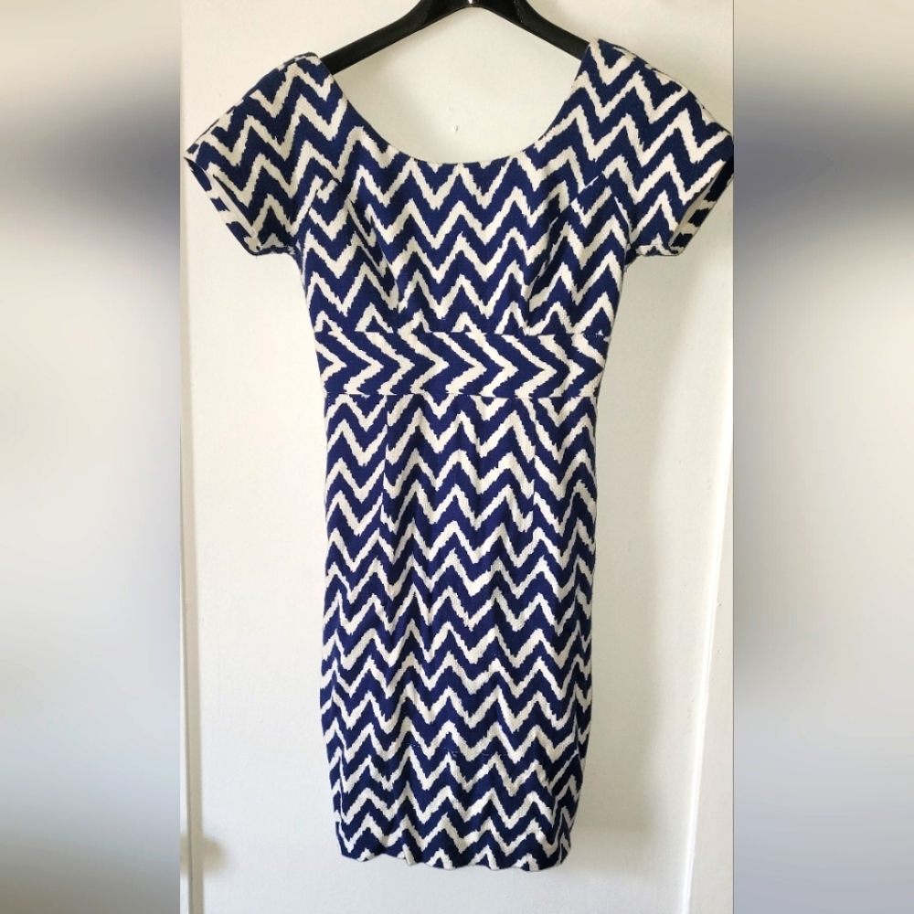 Milly of New York Chevron Vintage Dress 4
